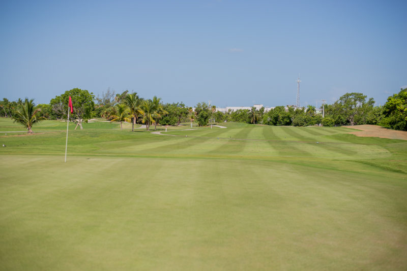 Our Photo Gallery Key West Golf Club   DSC 0905 800x534 