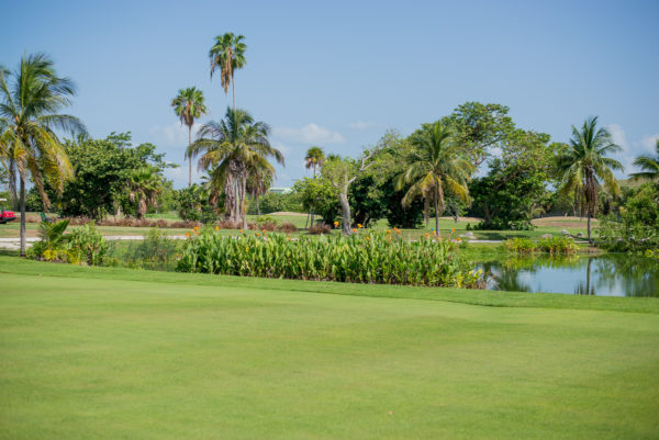 Our Photo Gallery | Key West Golf Club